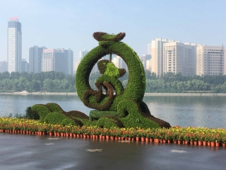 t_2018-07-04 07.06.46.jpg